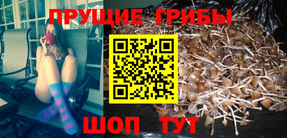 Галлюциногенные грибы Psilocybine cubensis  что такое наркотик  Ханты-Мансийск  Вход с VPN  Псилоцибиновые грибы MAGIC MUSHROOMS 